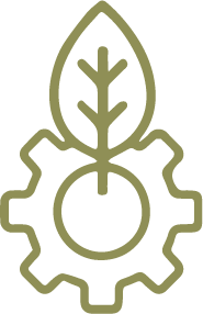 LCSA